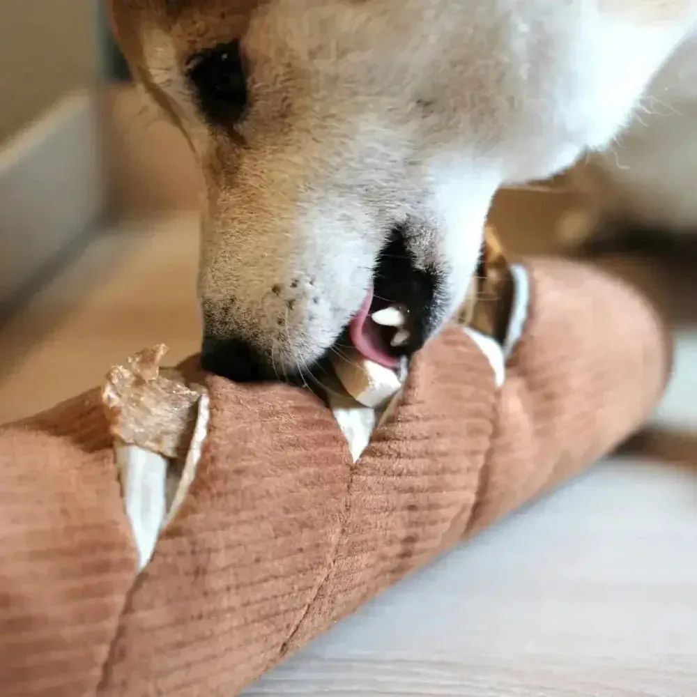 Lambwolf Collective Baguette Squeaky Interactive Dog Toys
