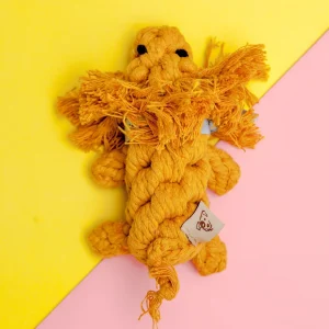 Larry the Lion Rope Dog Toy
