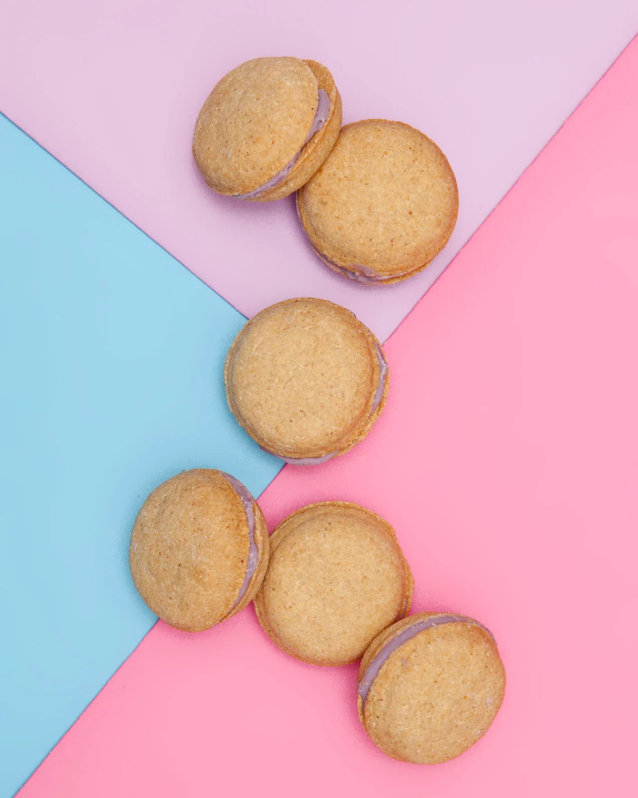 Lavender Macarons Dog Treat Box Set <> - Image 2