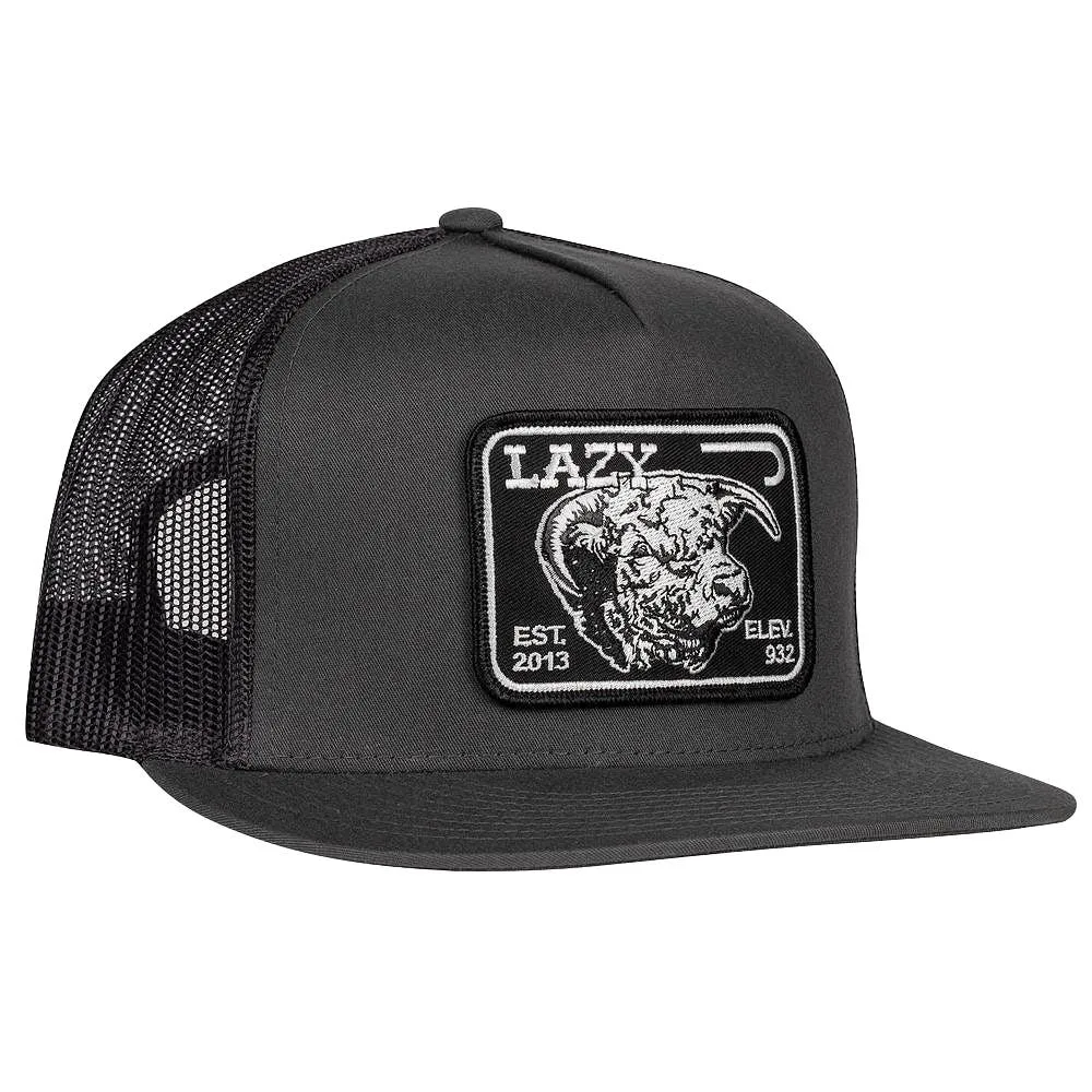 Lazy J Ranch Wear Grey & Black Elevation Herford Cap - Image 2