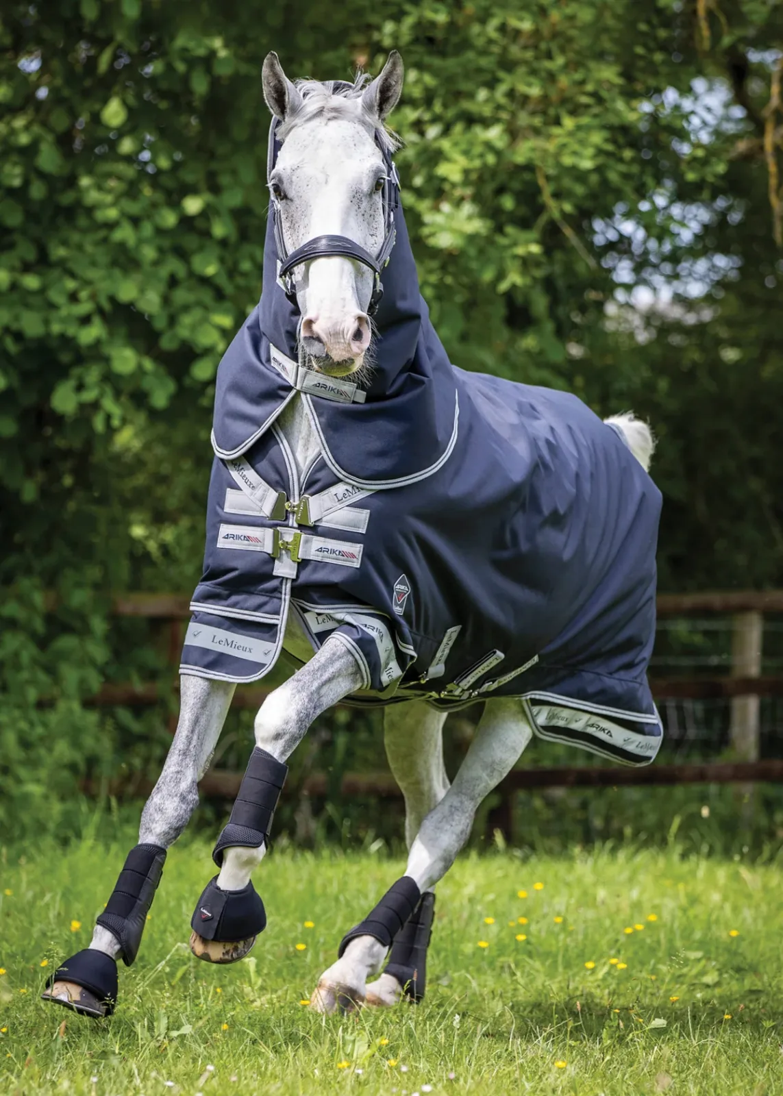 LeMieux® Arika Storm-Tek 200 Gram Turnout Blanket with Leg Straps