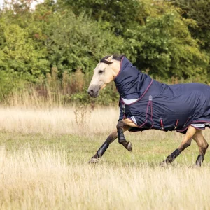 LeMieux® Kudos 100 Gram Turnout Blanket