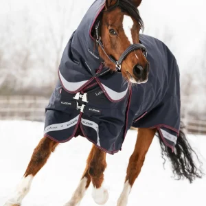 LeMieux® Kudos 350 Gram Turnout Blanket with Leg Straps