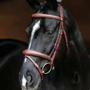 LeMieux® Kudos Competition Flash Bridle