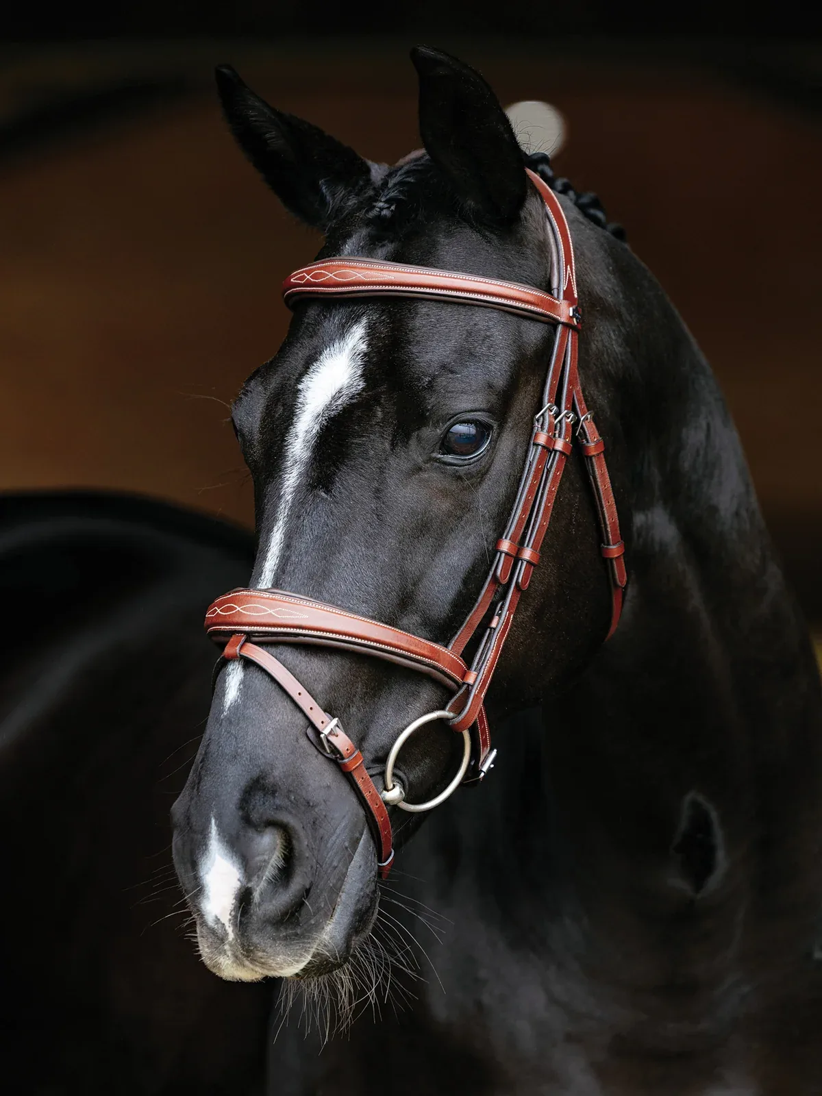 LeMieux® Kudos Competition Flash Bridle