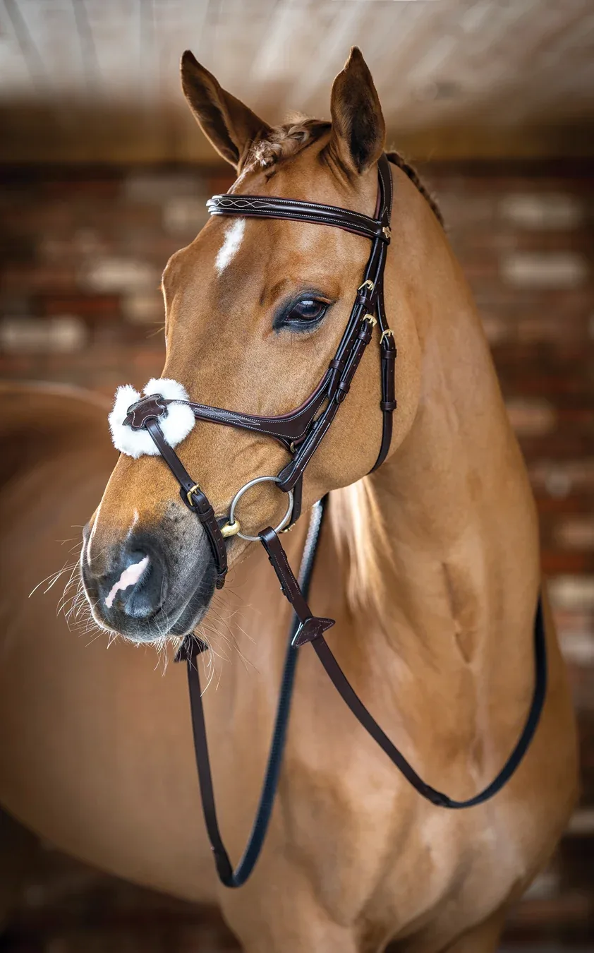 LeMieux® Kudos Figure-8 Bridle