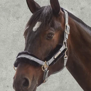 LeMieux® Loire Halter