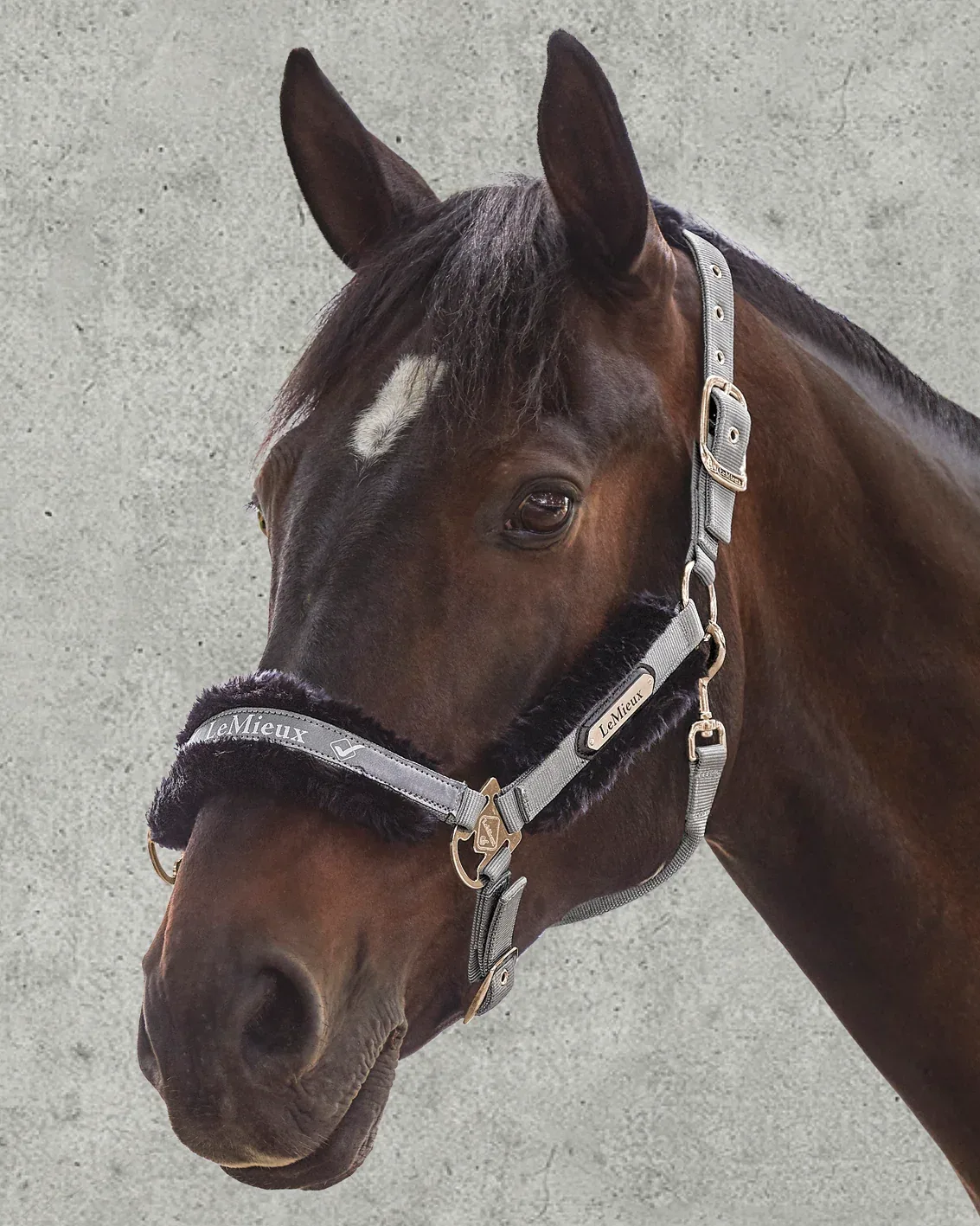 LeMieux® Loire Halter