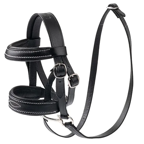 Lemieux MINI PONIES Bridle