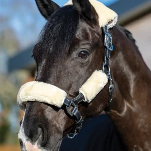 LeMieux® Simuwool 4-Piece Halter Set
