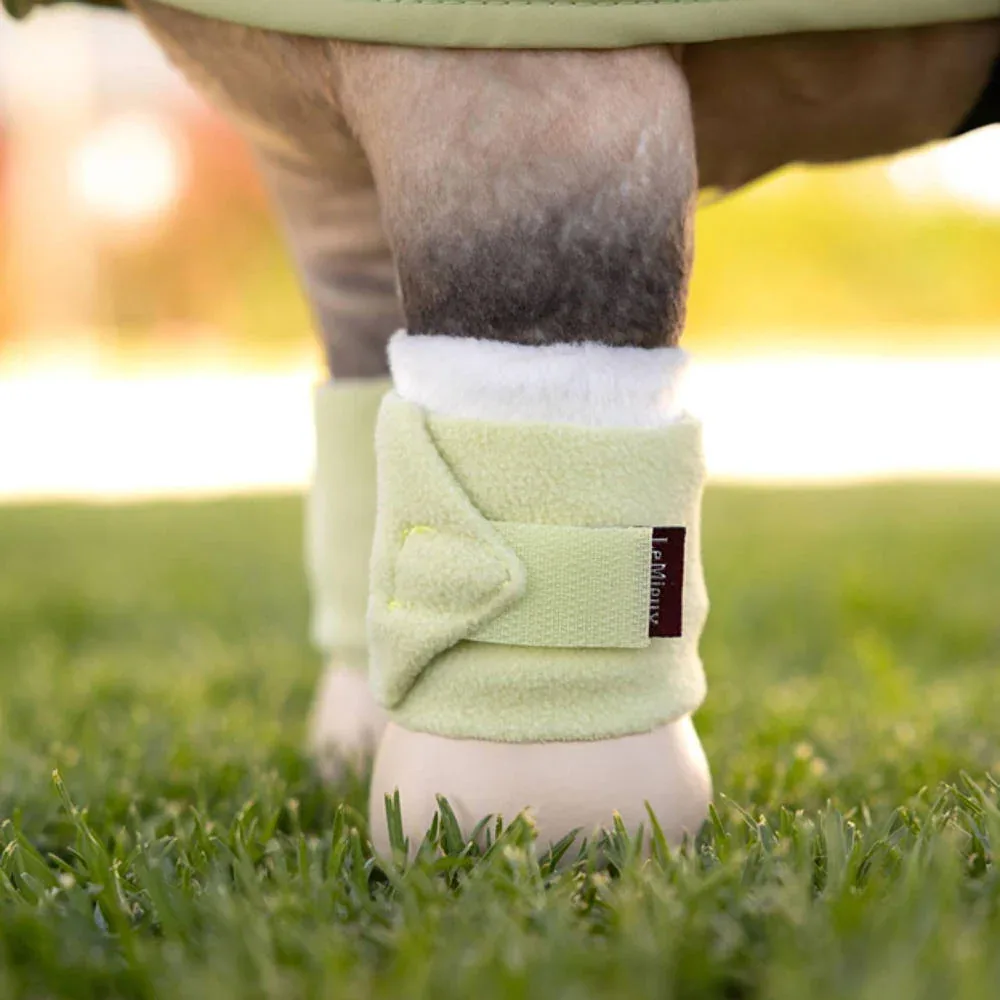 Lemieux Toy Pony Bandages Macaron - Image 2