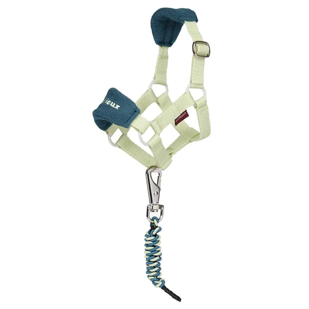Lemieux Toy Pony Vogue Headcollar and Leadrope Macaron