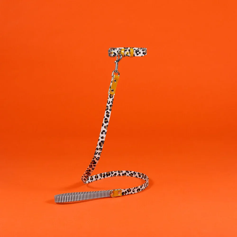 Leopard and Stripe Leash - Image 2