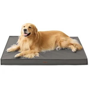 Lesure® Indoor & Outdoor Waterproof Dog Mat