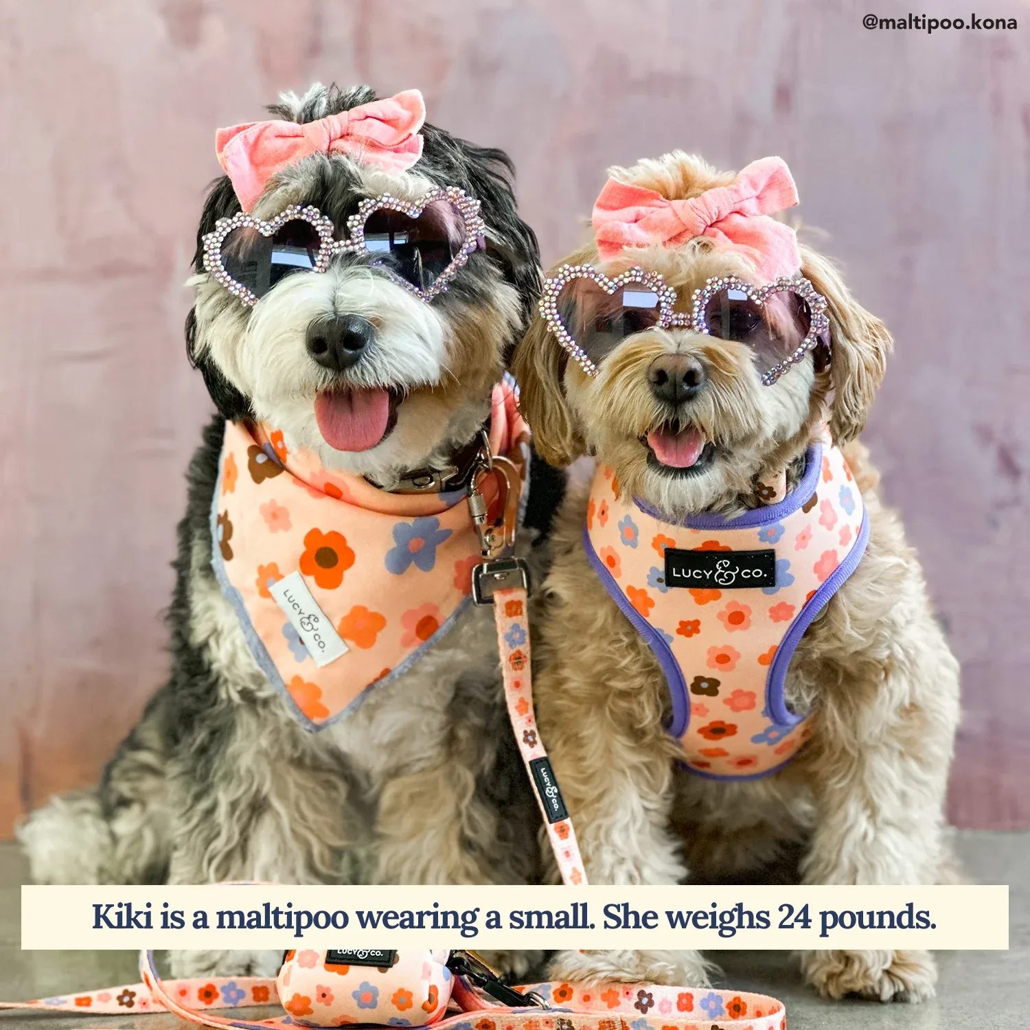 Let's Groove Bandana - Image 2