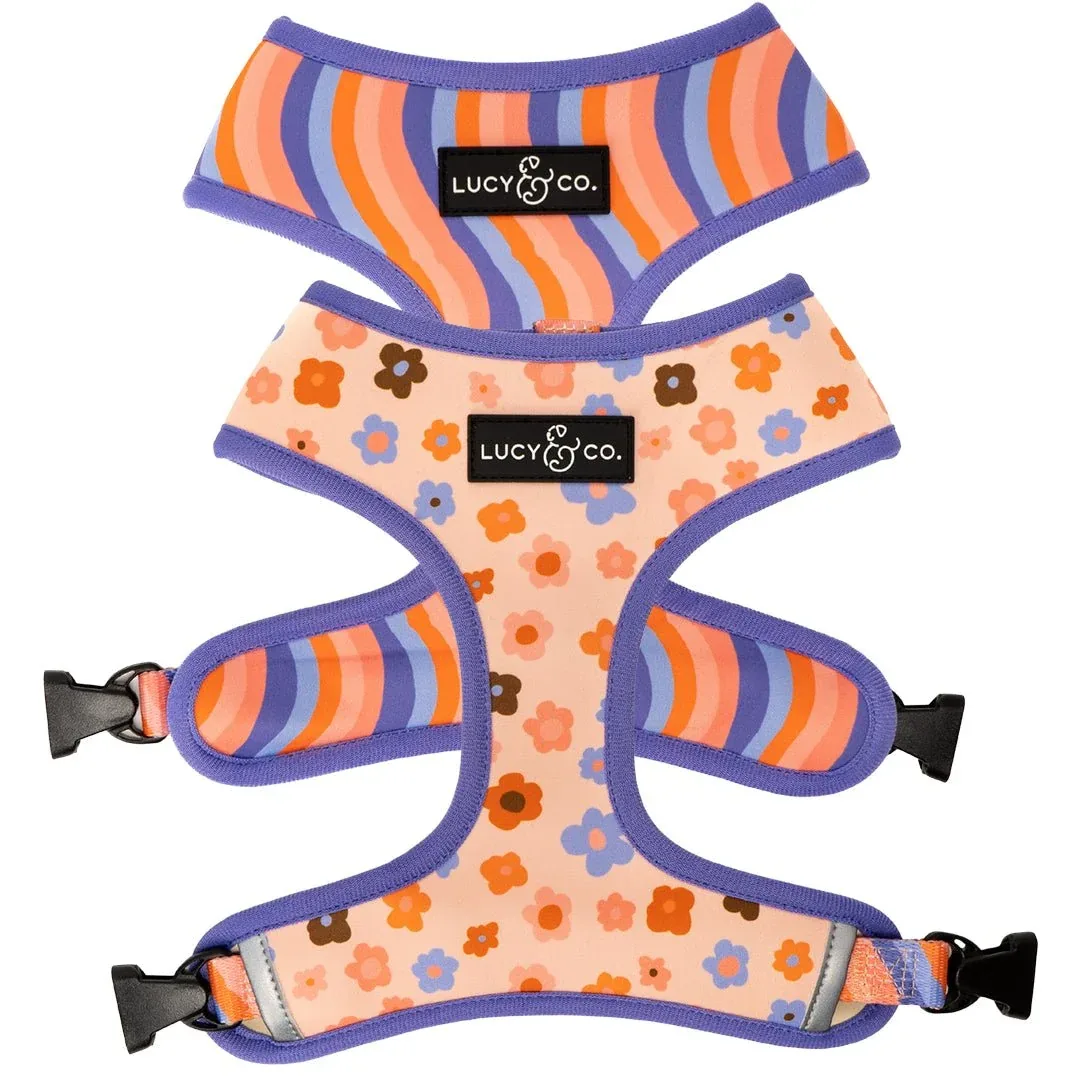 Let's Groove Reversible Harness