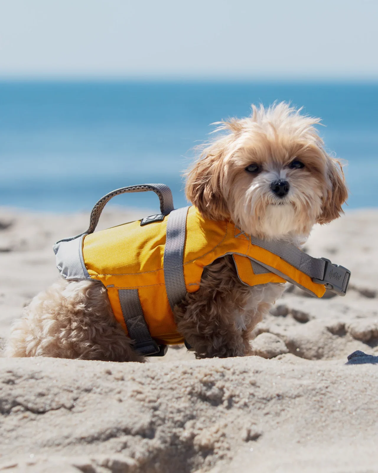 Life Savior Dog Life Jacket in Golden Yellow (FINAL SALE) - Image 2