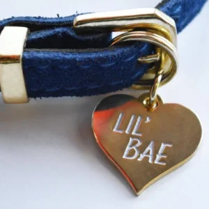 Lil' Bae Pet Tag