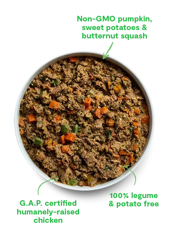Limited Edition Winter Blend Gently Cooked for Dogs - Image 2