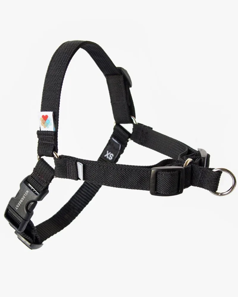Linden No Pull Front Clip Dog Harness - Image 2