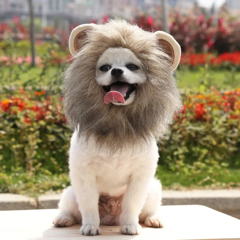 Lion Mane Costume for Dogs & Cats – Plush Halloween Hood, S–L - Image 2