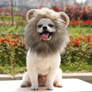 Lion Mane Costume for Dogs & Cats – Plush Halloween Hood, S–L