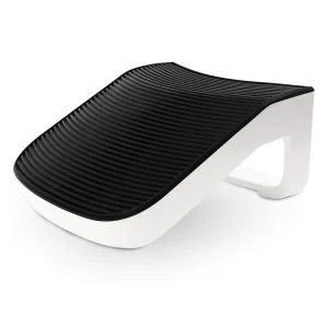 LITTER-ROBOT® EVO RAMP