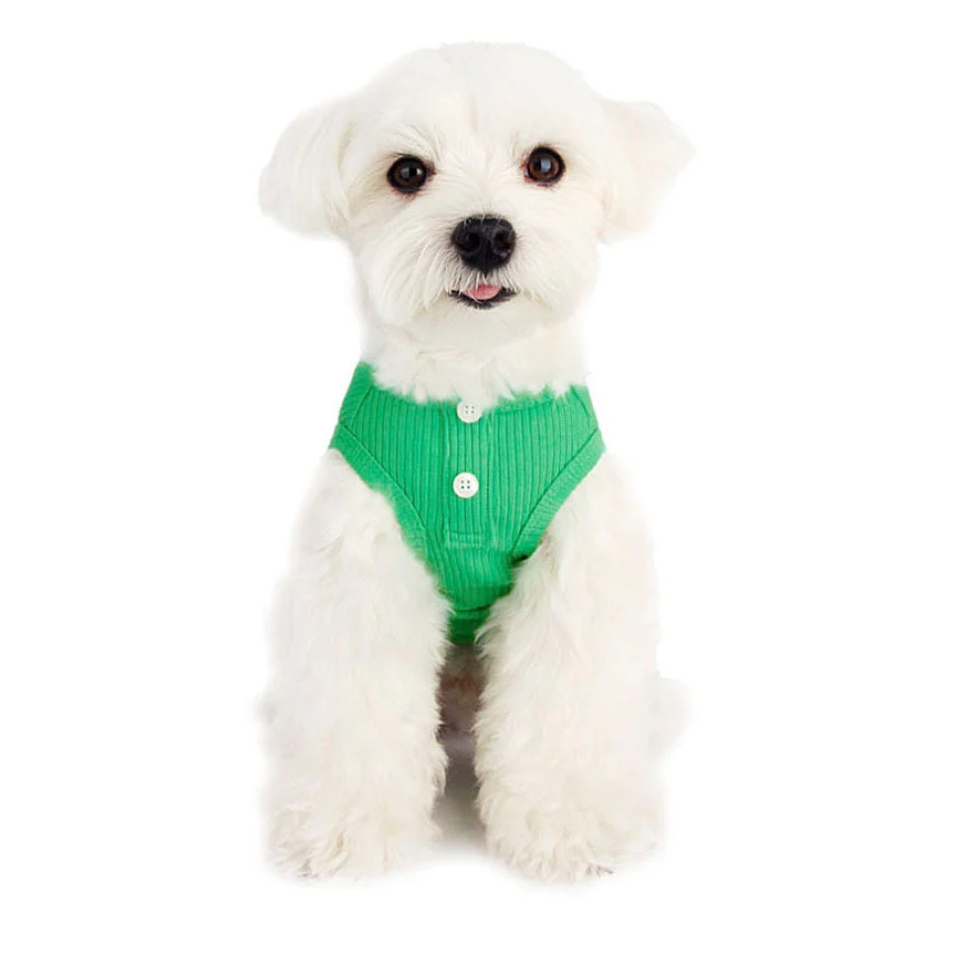 LITTLE COLLIN | Basic Button All-in-One in Soft Green - Image 2