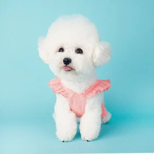 LITTLE COLLIN | Lovely Overall in Soft Pink