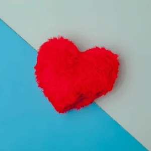 Little Heart Plush Catnip Cat Toy (Made in the USA)