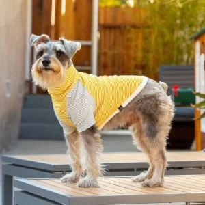 LONG DOG CLOTHING | The Early Bird