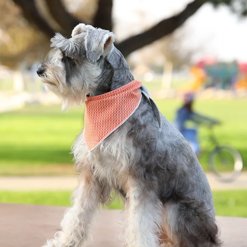 LONG DOG CLOTHING | The Fletcher Bandana - Image 2