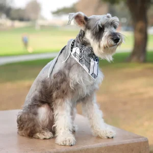 LONG DOG CLOTHING | The Fletcher Bandana