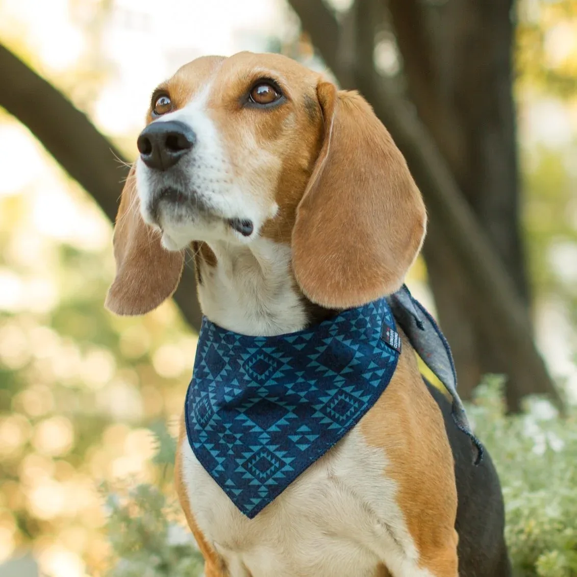 LONG DOG CLOTHING | The Mayan Bandana