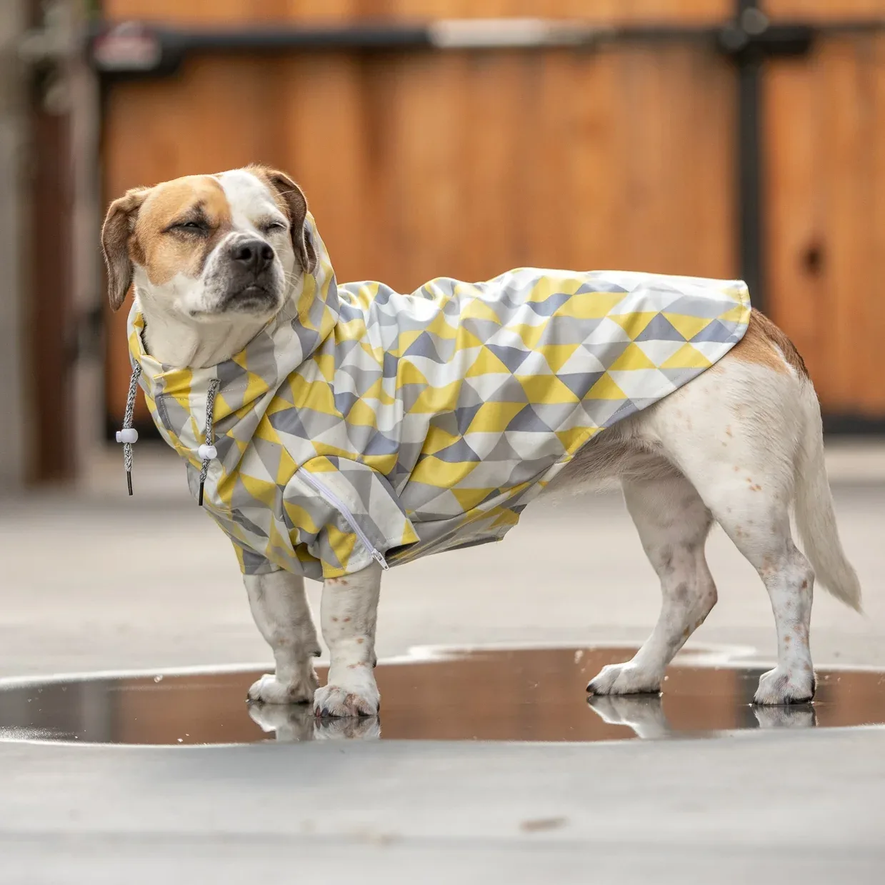 LONG DOG CLOTHING | The Metric Raincoat