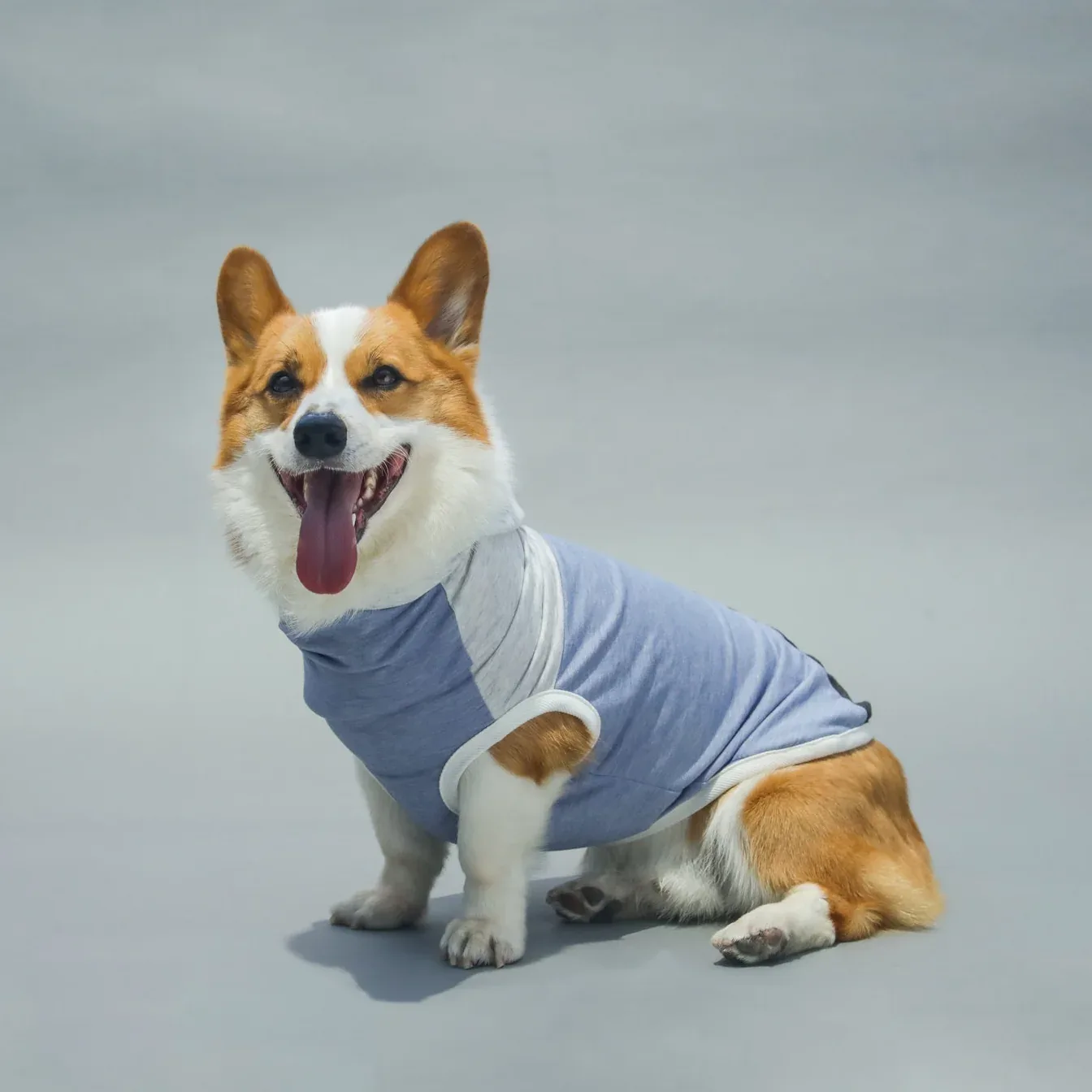 LONG DOG CLOTHING | The Skater