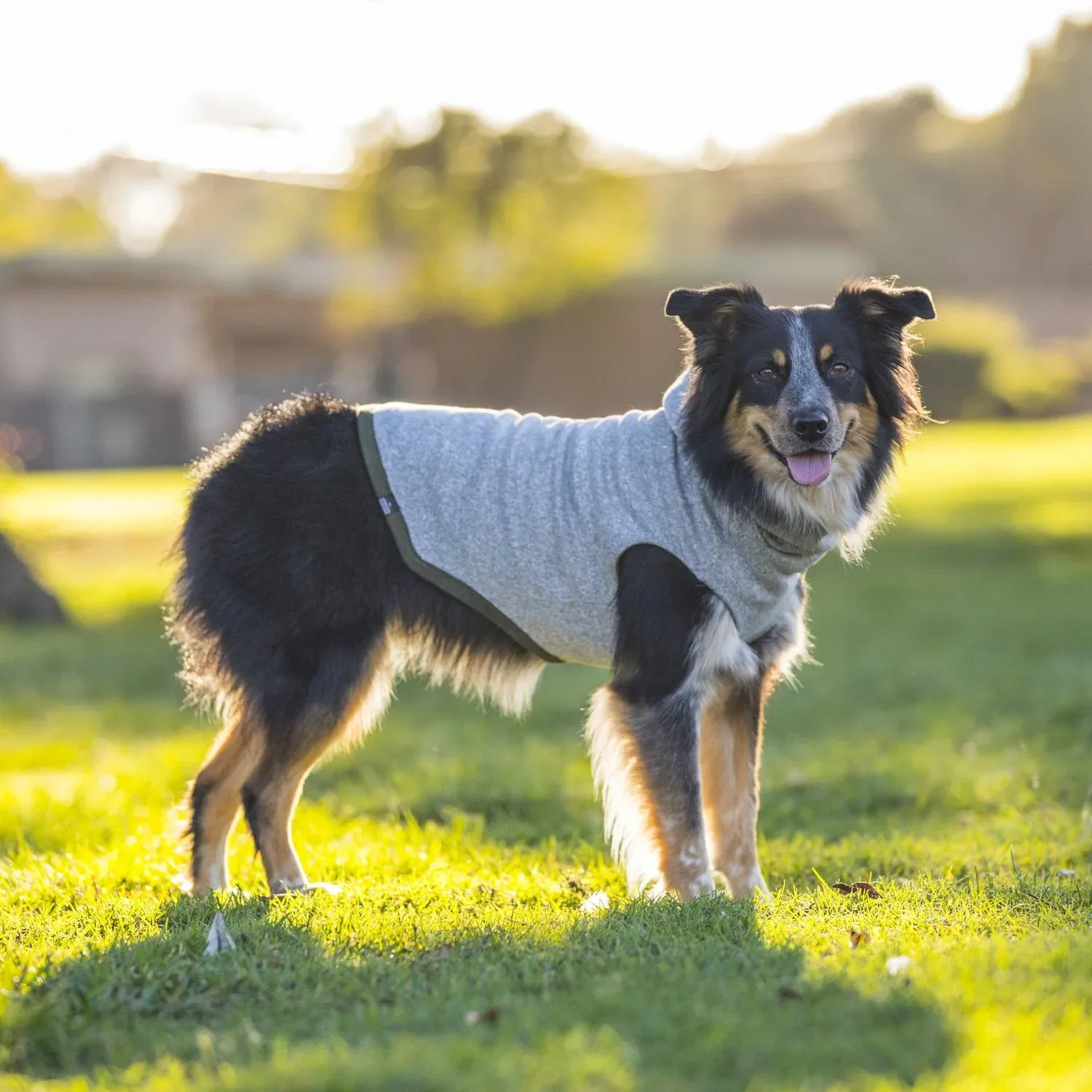 LONG DOG CLOTHING | The Yosemite - Image 2