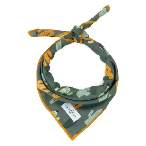 Looking Sharp Bandana