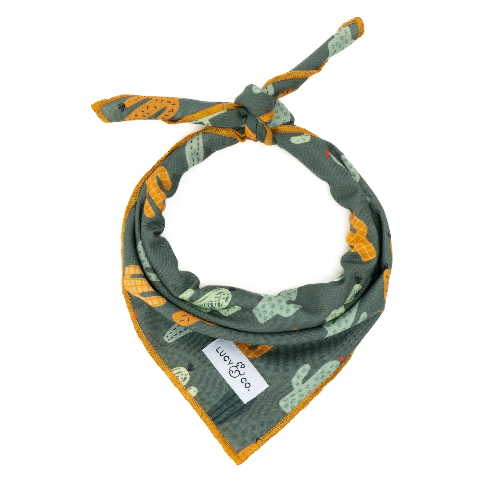 Looking Sharp Bandana