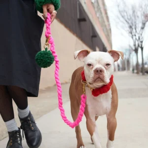 LOOPY MANGO | DIY Dog Leash Kit in Hot Pink