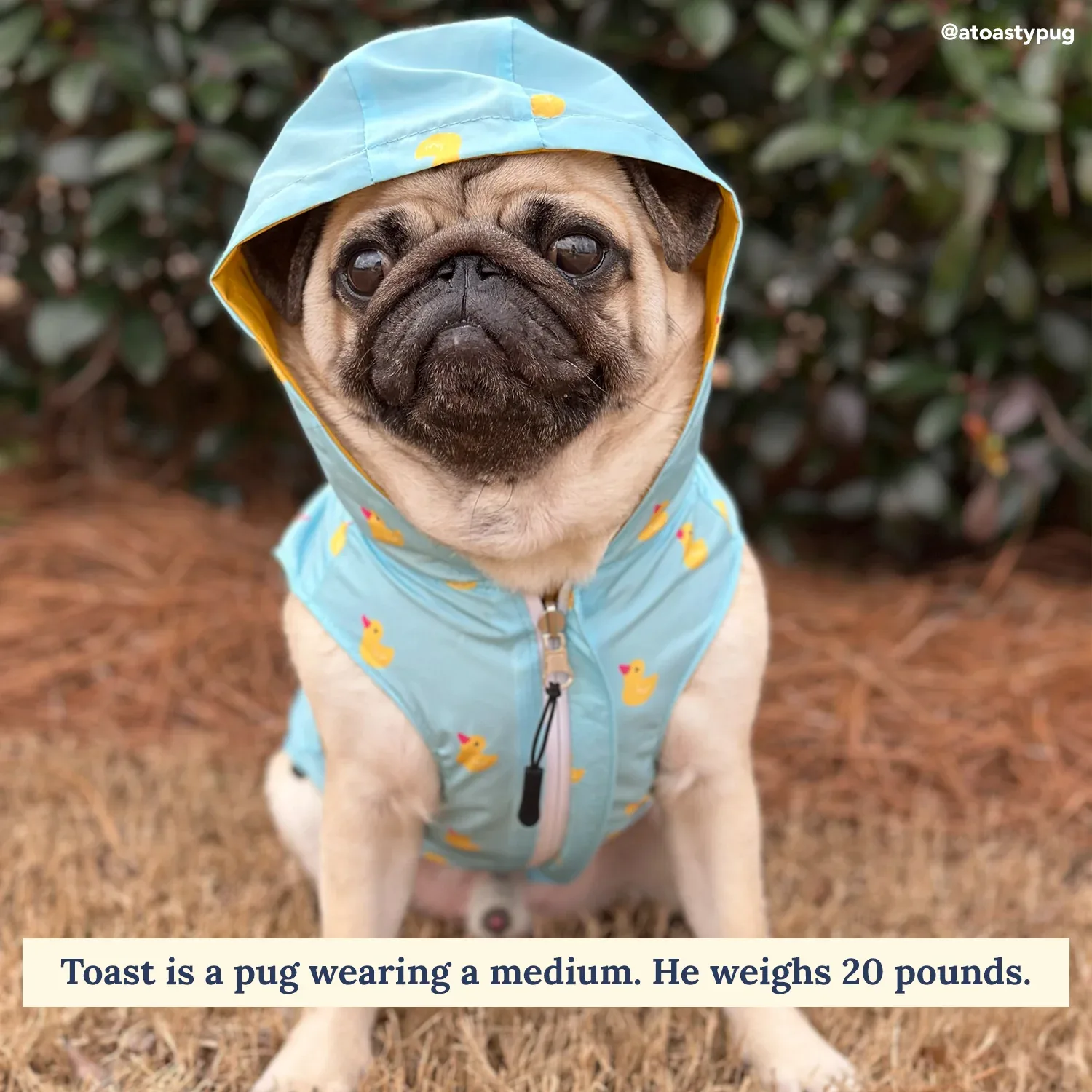 Lucky Ducky Reversible Raincoat - Image 2