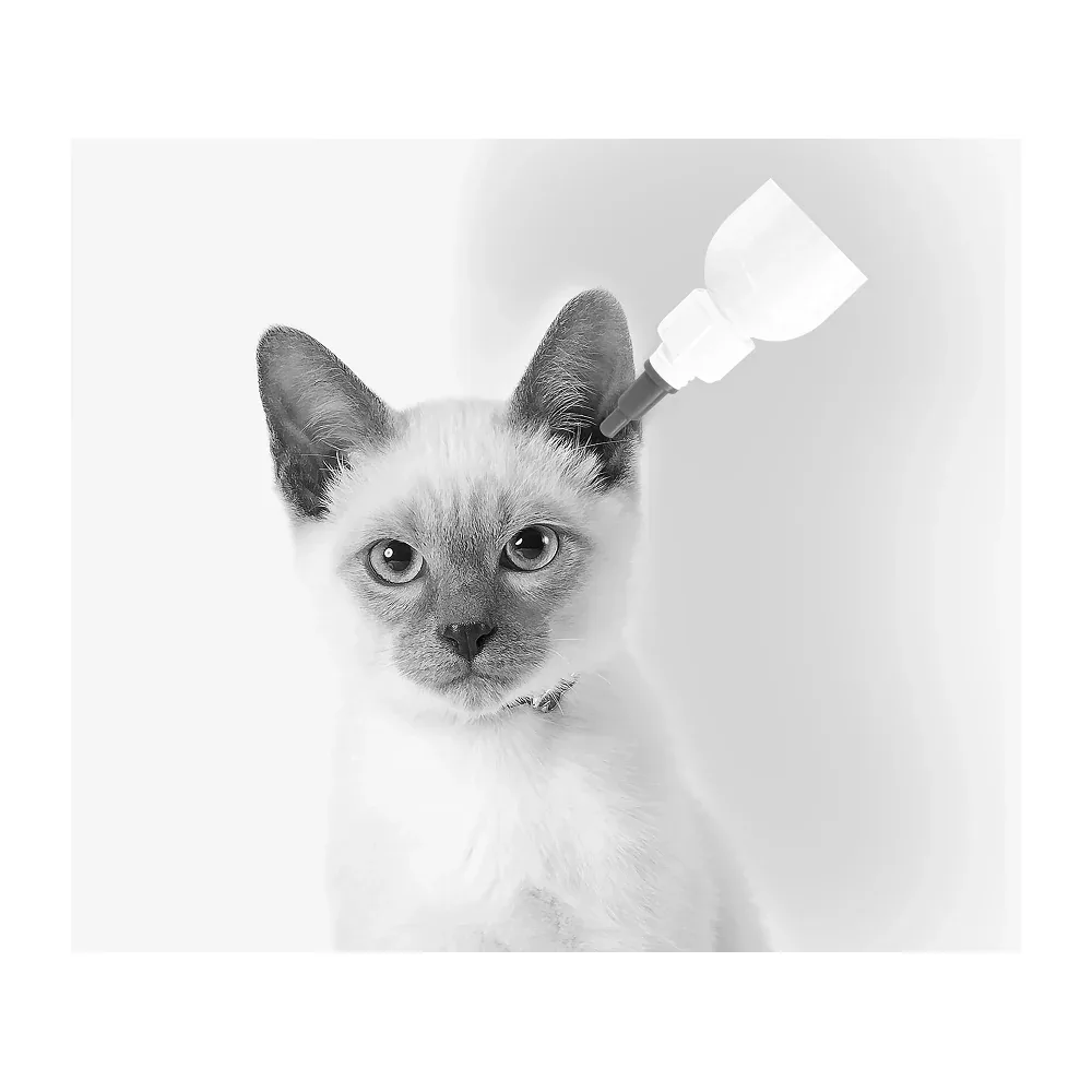 M Pets Ear Cleaner for Cats - Image 2
