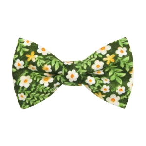 Made By Cleo® Hazel Floral Cat Bow Tie