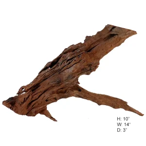 Malaysian Driftwood, Super WYSIWYG 10" x 14"