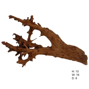Malaysian Driftwood, Super WYSIWYG 10" x 16"