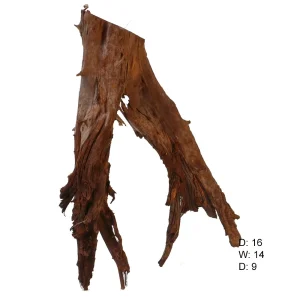 Malaysian Driftwood, Super WYSIWYG 17" x 12"