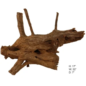 Malaysian Driftwood, Super WYSIWYG 17" x 22"