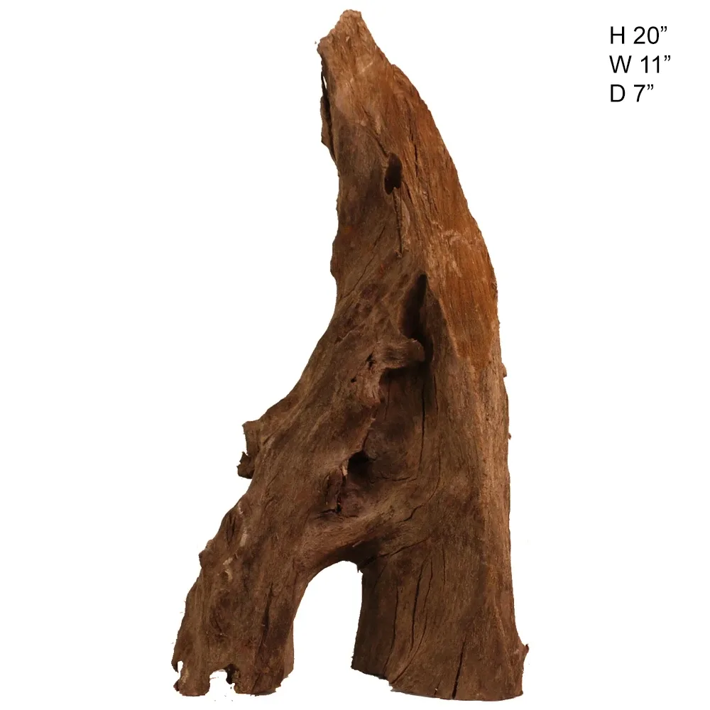 Malaysian Driftwood, Super WYSIWYG 20" x 11"