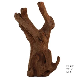 Malaysian Driftwood, Super WYSIWYG 21" x 10"