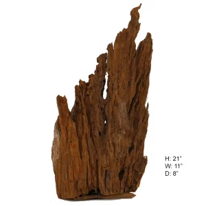 Malaysian Driftwood, Super WYSIWYG 21" x 11"